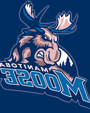 Manitoba Moose